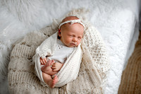 Harlie newborn 2026