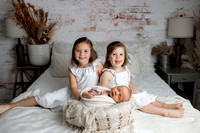 Brittany newborn 2026